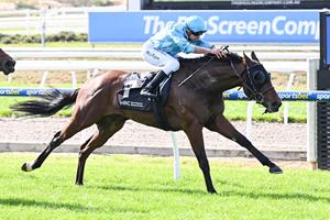 WONDERDOWNUNDER SHEDS TAG